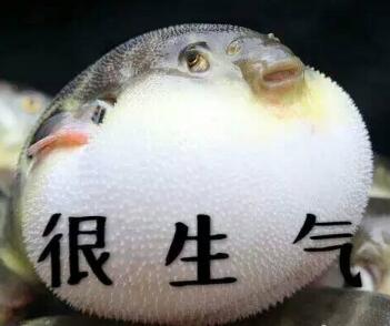 ?????????????